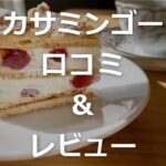 カサミンゴーの口コミ＆評判　7種類を食べて分かった事実